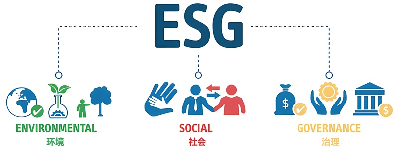 5b5e4924-f5bf-46c0-8016-d1f178fde488 拷贝.jpg